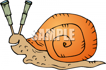 Snail Clipart