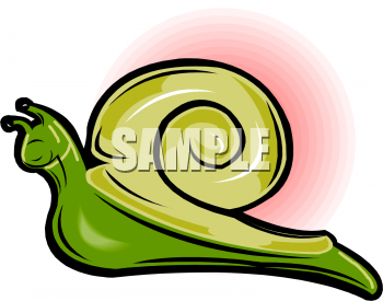 Snail Clipart