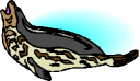 Lion Clipart