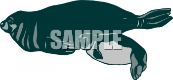 Lion Clipart