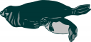 Lion Clipart