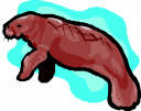 Lion Clipart