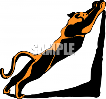 Puma Clipart