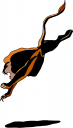 Lion Clipart