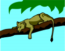 Puma Clipart