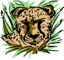 Leopard Clipart