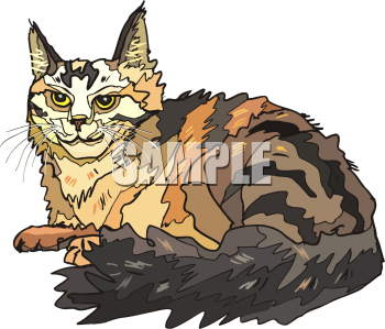 Kitten Clipart