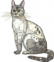 Kitten Clipart