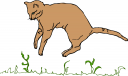 Kitten Clipart