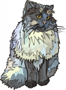 Kitten Clipart