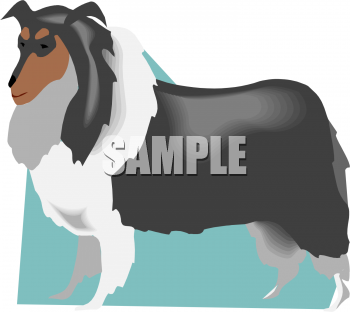 Pet Clipart