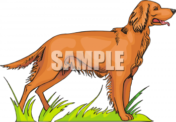 Pet Clipart