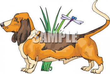 Pet Clipart