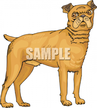 Pet Clipart