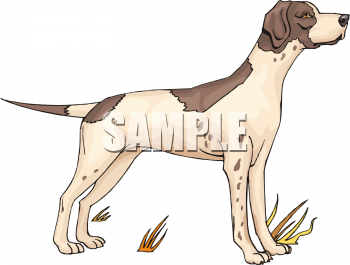 Pet Clipart