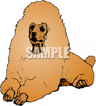 Pet Clipart