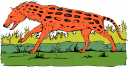 Hyena Clipart