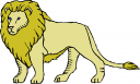 Lion Clipart