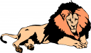 Lion Clipart