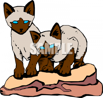 Kitten Clipart