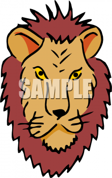Lion Clipart