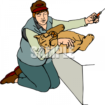 Lion Clipart
