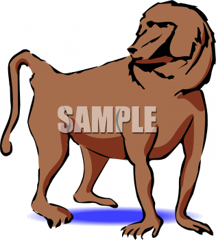 Monkey Clipart
