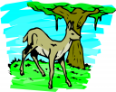 Fawn Clipart
