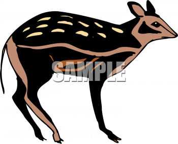Fawn Clipart
