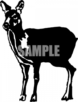 Fawn Clipart