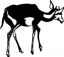 Fawn Clipart