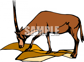 Gazelle Clipart
