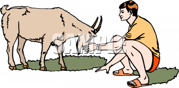 Goat Clipart