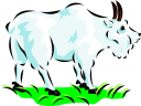 Goat Clipart