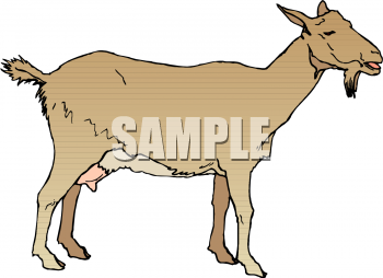Goat Clipart