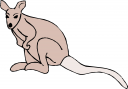 Kangaroo Clipart