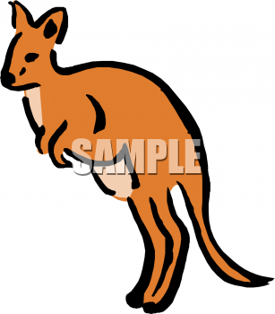 Kangaroo Clipart