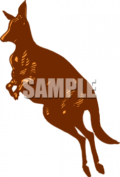 Kangaroo Clipart