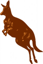 Kangaroo Clipart