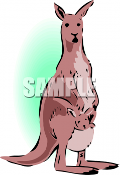 Kangaroo Clipart