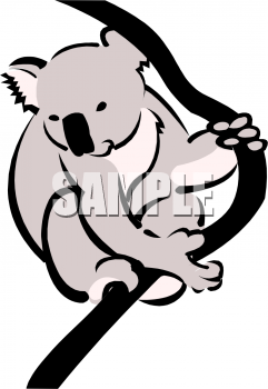 Marsupial Clipart