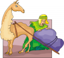 Llama Clipart