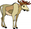 Moose Clipart