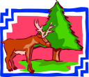 Moose Clipart