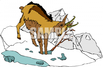 Goat Clipart