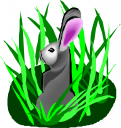 Rabbit Clipart