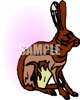 Rabbit Clipart