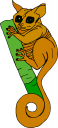 Kangaroo Clipart