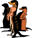 Meerkat Clipart