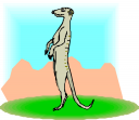 Meerkat Clipart